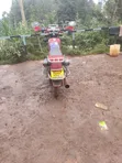 Captain CP150-10 2019 Red - 5