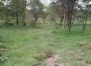 Eneo la Prime la Eka 10 kwa Uuzaji - Ziwa Elementaita