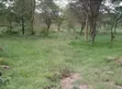 Eneo la Prime la Eka 10 kwa Uuzaji - Ziwa Elementaita - 1