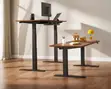 Electric Height Adjustable Office Desk 120cm - 2