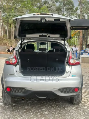 Nissan Juke 2015 Silver