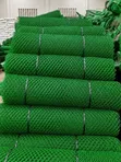 Green Plastic Poultry Mesh Roll, 1m x 25m - 2