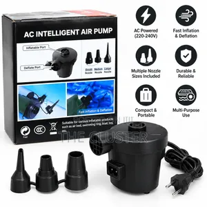 AC Intelligence Air Pump