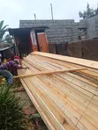 Cyprus and Pine Timber for Roofing - 1