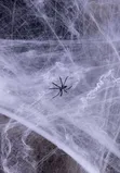 Spider Cob Web Stretch - 20g - 5