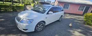 Toyota Corolla Fielder 2007 Nyeupe