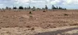 50x100 Plots for Sale at Mwalimu Farm, Ruiru - 1