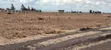50x100 Plots for Sale at Mwalimu Farm, Ruiru - 2