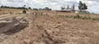 50x100 Plots for Sale at Mwalimu Farm, Ruiru - 3