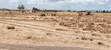 50x100 Plots for Sale at Mwalimu Farm, Ruiru - 4