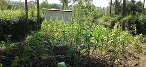 Prime 1/8 Acre Plot for Sale in Ngong Matasia