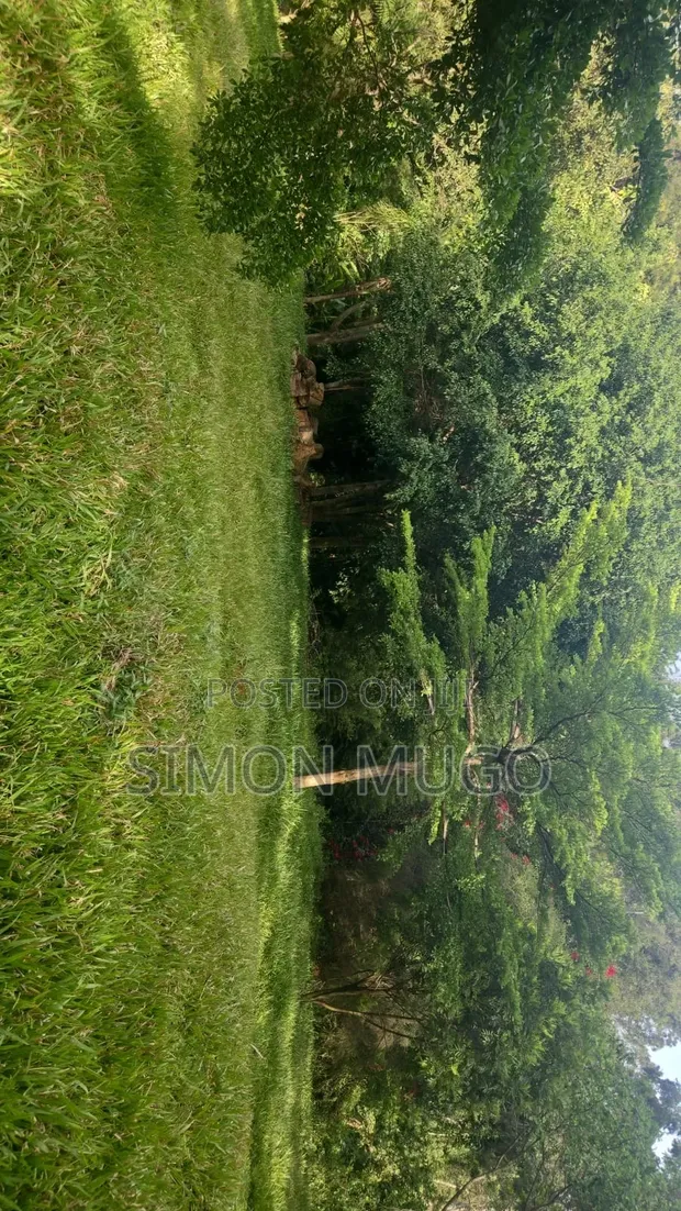Muthithi Gardens Kiambu Road Prime Secure 1 Acre Plot - 1
