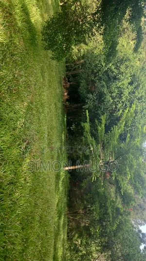 Muthithi Gardens Kiambu Road Kiwanja Prime Salama cha Acre 1