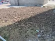 Maganda ya Mahindi Makavu (Msogoro) kwa Matumizi ya Viwandani - 1