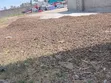Maganda ya Mahindi Makavu (Msogoro) kwa Matumizi ya Viwandani - 3
