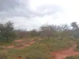 16.3 Acres Prime Fertile Land for Sale in Taveta - 3