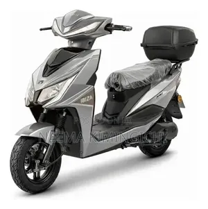 2024 Electric Scooter - Gray
