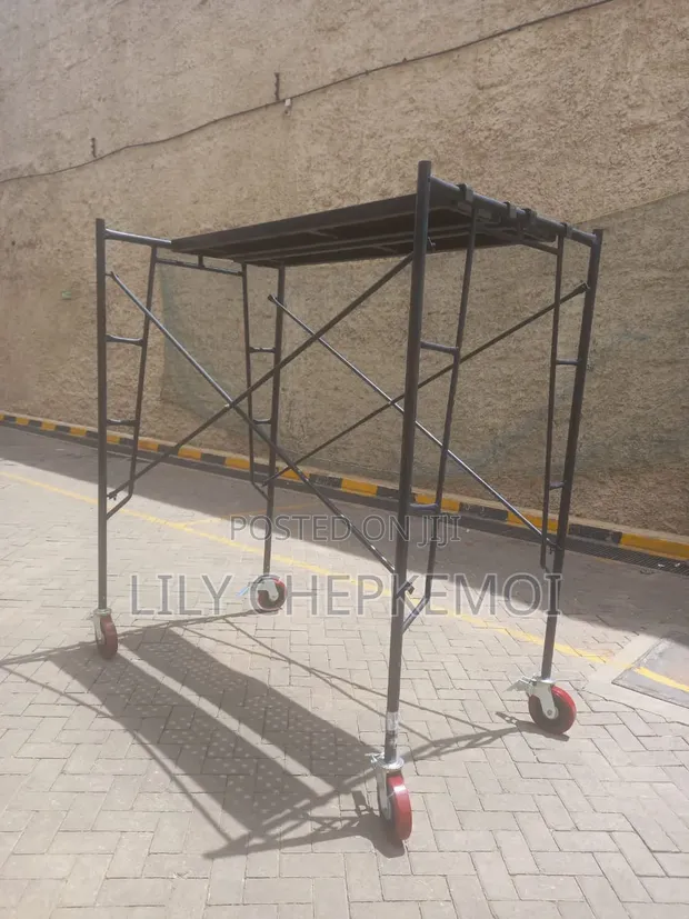 Heavy Duty Scaffolding Ladder - Brand New - 1
