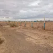 2.5 Acres Prime Land for Sale in Juja Farm, Athi - 1