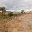 2.5 Acres Prime Land for Sale in Juja Farm, Athi - 2