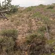 2.5 Acres Prime Land for Sale in Juja Farm, Athi - 4