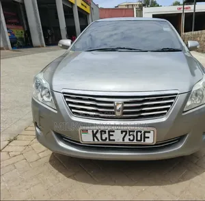 Toyota Premio 2009 Silver