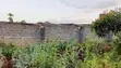 Land for Sale in Regen - 50x100 Plot - 3