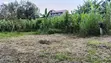 Land for Sale in Regen - 50x100 Plot - 5