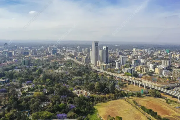 Huduma za Kitaalamu za Upigaji Picha na Video kwa Ndege za Kidhibiti - 1