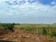 Western Hills Residential Plots for Sale in Dago, Kisumu - 1