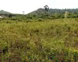 Western Hills Residential Plots for Sale in Dago, Kisumu - 2