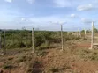 Plots for Sale Juja Farm, Kiambu - 2