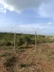 Plots for Sale Juja Farm, Kiambu - 3