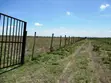 Vipande 50x100 vya Uuzaji Kitengela - 4