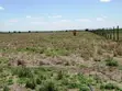 Vipande 50x100 vya Uuzaji Kitengela - 5