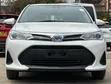 Toyota Corolla Fielder Hybrid 2019 White - 1