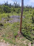 Plots for Sale in Murang'a - Kambirwa - 2