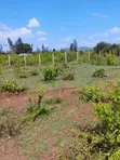 Plots for Sale in Murang'a - Kambirwa - 3