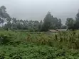 Eneo la Kibiashara la 1/2 Eka linauzwa Limuru - 3