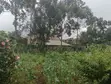 Eneo la Kibiashara la 1/2 Eka linauzwa Limuru - 4