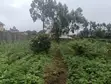 Eneo la Kibiashara la 1/2 Eka linauzwa Limuru - 5