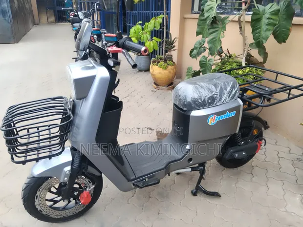 Pikipiki ya Umeme ya 2025 - Kijivu - 1