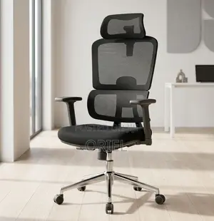 Orthopedic Executive Mesh Office Chair - High-Back