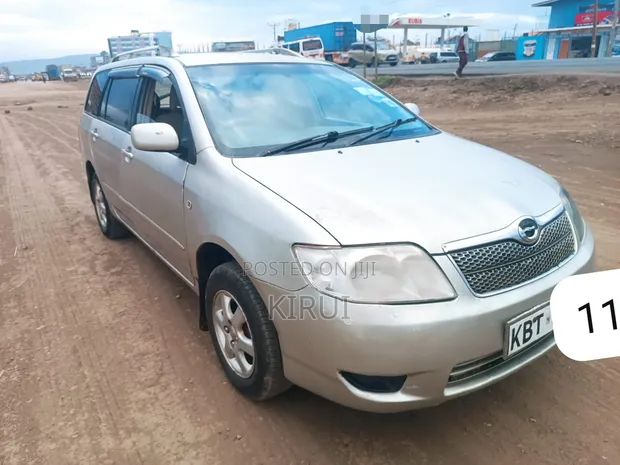 Toyota Corolla Fielder 2007 Silver - 1