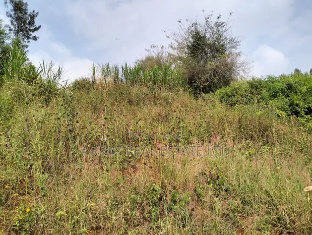 Prime 50x100 Plots for Sale in Lower Kabete - 1