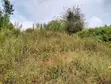 Prime 50x100 Plots for Sale in Lower Kabete - 1