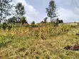 Prime 50x100 Plots for Sale in Lower Kabete - 5