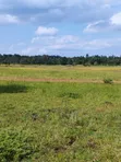 Plots for Sale Near Sagana Town | Kenol-Marua Dual Carriageway - 3