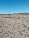 Kiwanja cha Kuuzwa - 50x100ft Machakos - Miwongoni - 3
