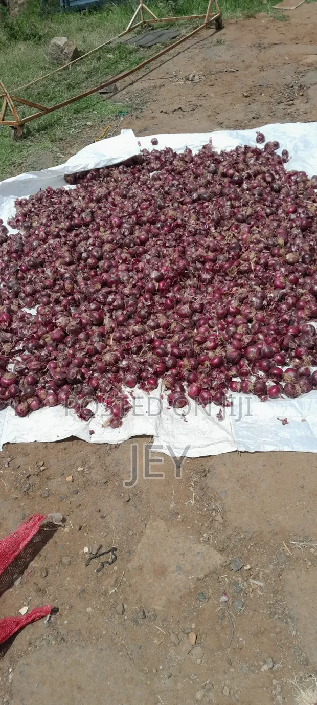 Wholesale Onions - Red & White - 1